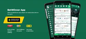BetWinner Live Casino Your Ultimate Gaming Experience